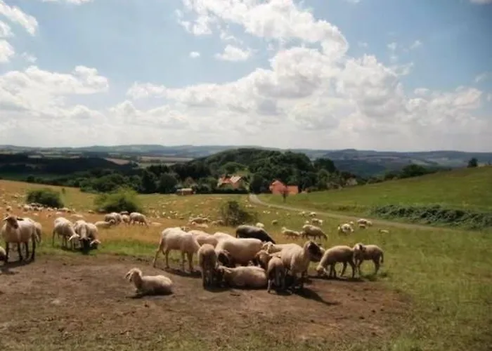 Marx By Interhome 度假居 Bremke (Lippe)